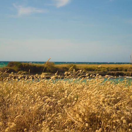 オストゥーニ Borgo Degli Artistiヴィラ エクステリア 写真