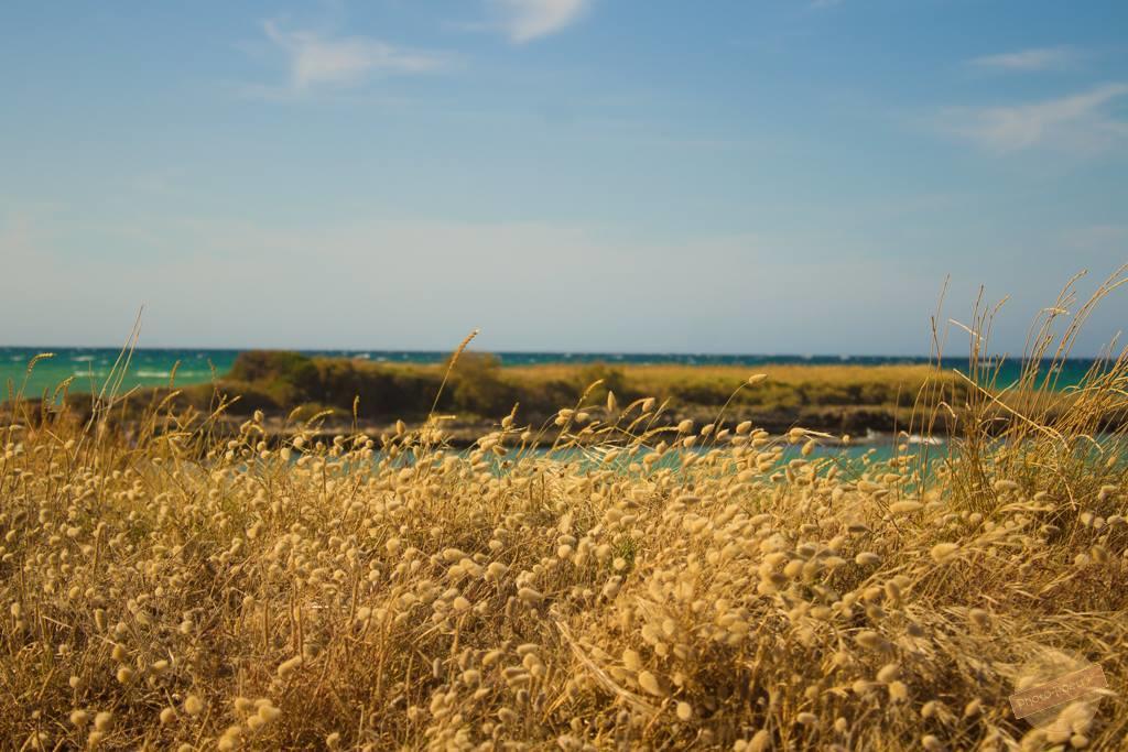 オストゥーニ Borgo Degli Artistiヴィラ エクステリア 写真
